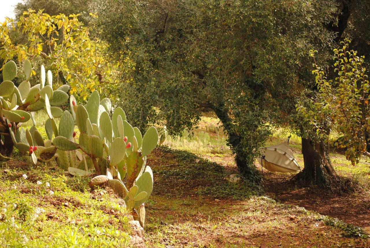 Il Giardino Di Viola Bed & Breakfast Ceglie Messapica Exterior photo